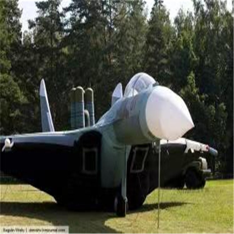 玉林充气模型飞机制造商家